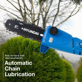 Hyundai 20V Cordless Pole Saw, 2Ah Battery and Charger, Lightweight and Telescopic reach | HY20CPS